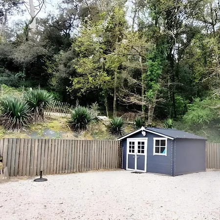 La Maison Des Conches - Ref 803 Feriehus Longeville-sur-Mer